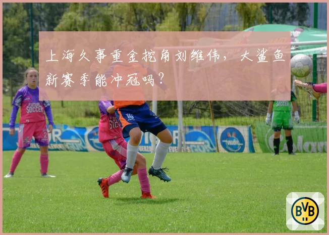 上海久事重金挖角刘维伟，大鲨鱼新赛季能冲冠吗？