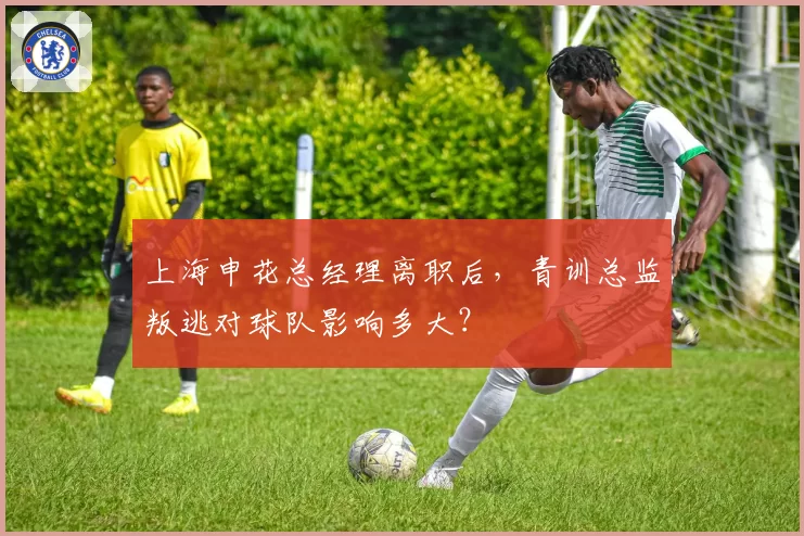上海申花总经理离职后，青训总监叛逃对球队影响多大？