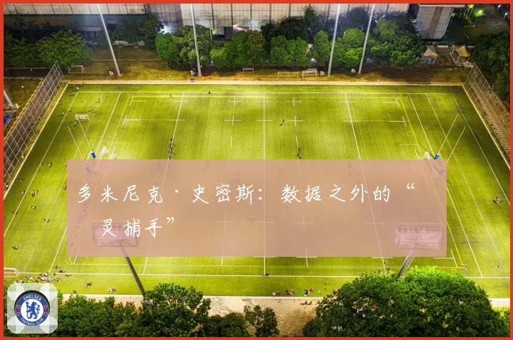 多米尼克·史密斯:数据之外的“心灵捕手”