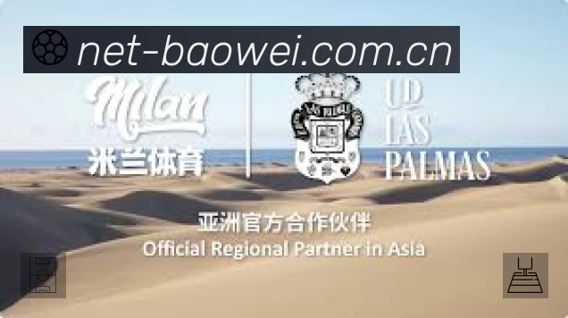 安全防护与风控机制